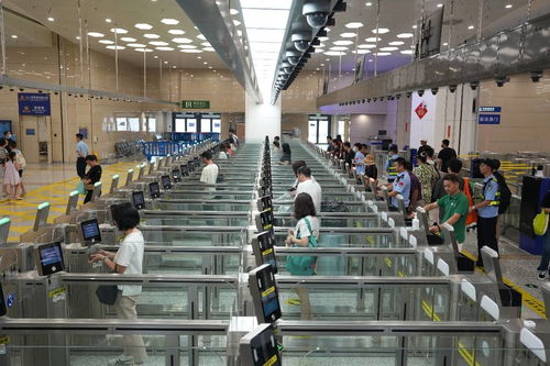 中國科技網 引領網絡技術服務創(chuàng)新，賦能數(shù)字中國建設